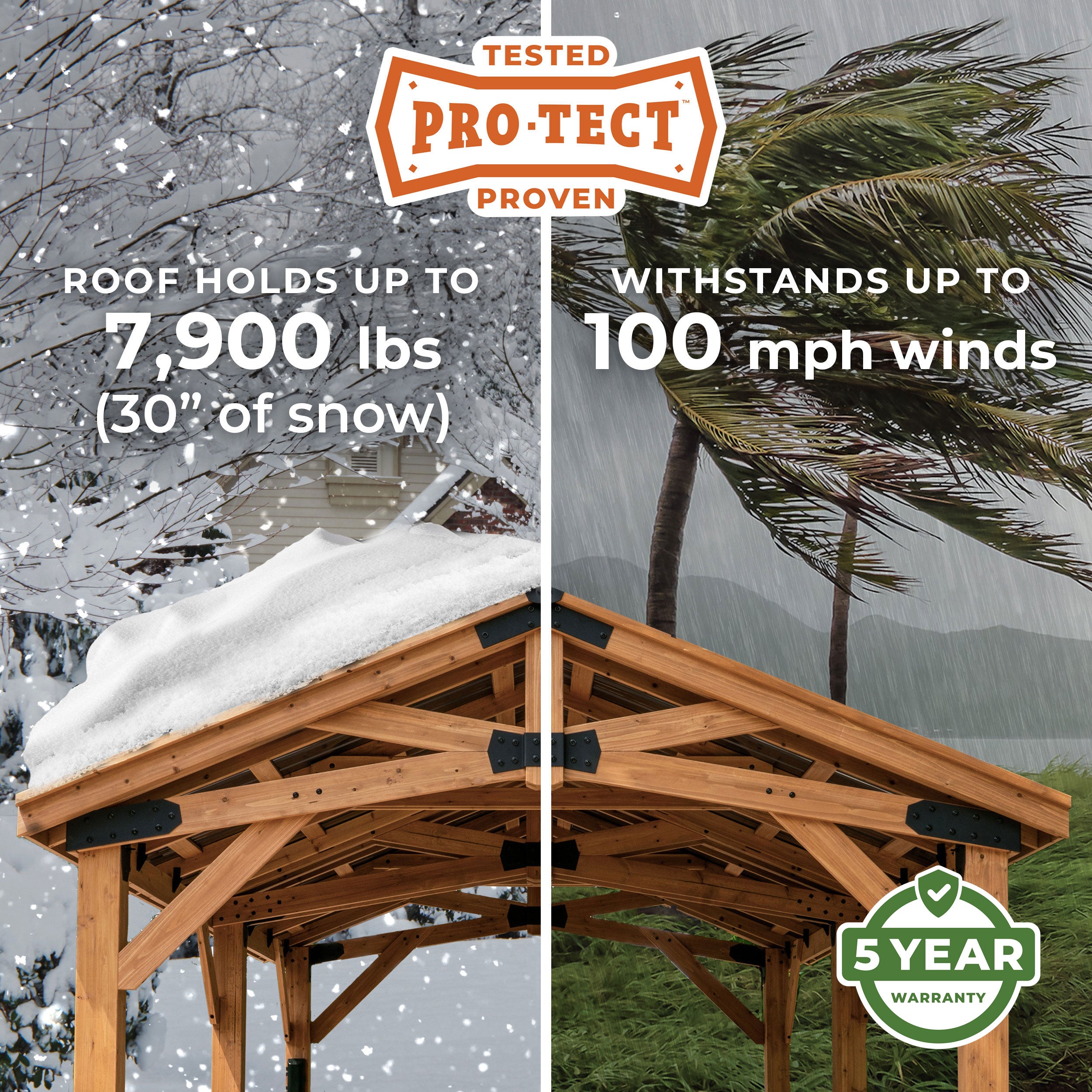 Pro-Tect Image