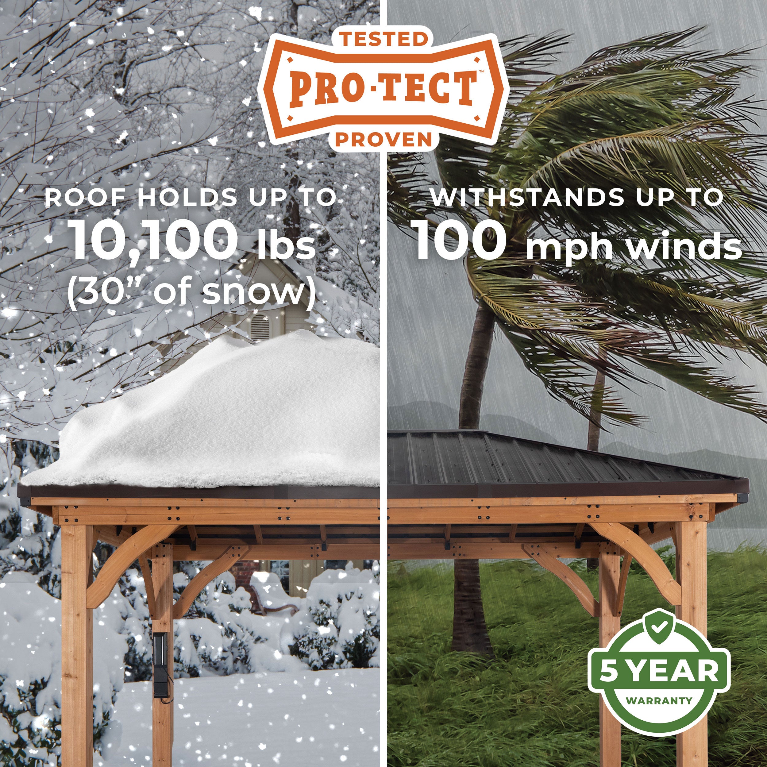 Pro-Tect Image